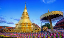 hotel_thumbnai_1