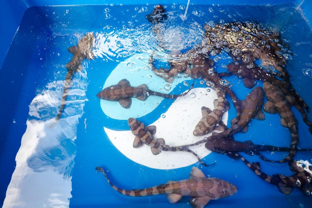 풀만 푸켓 판와 비치리조트