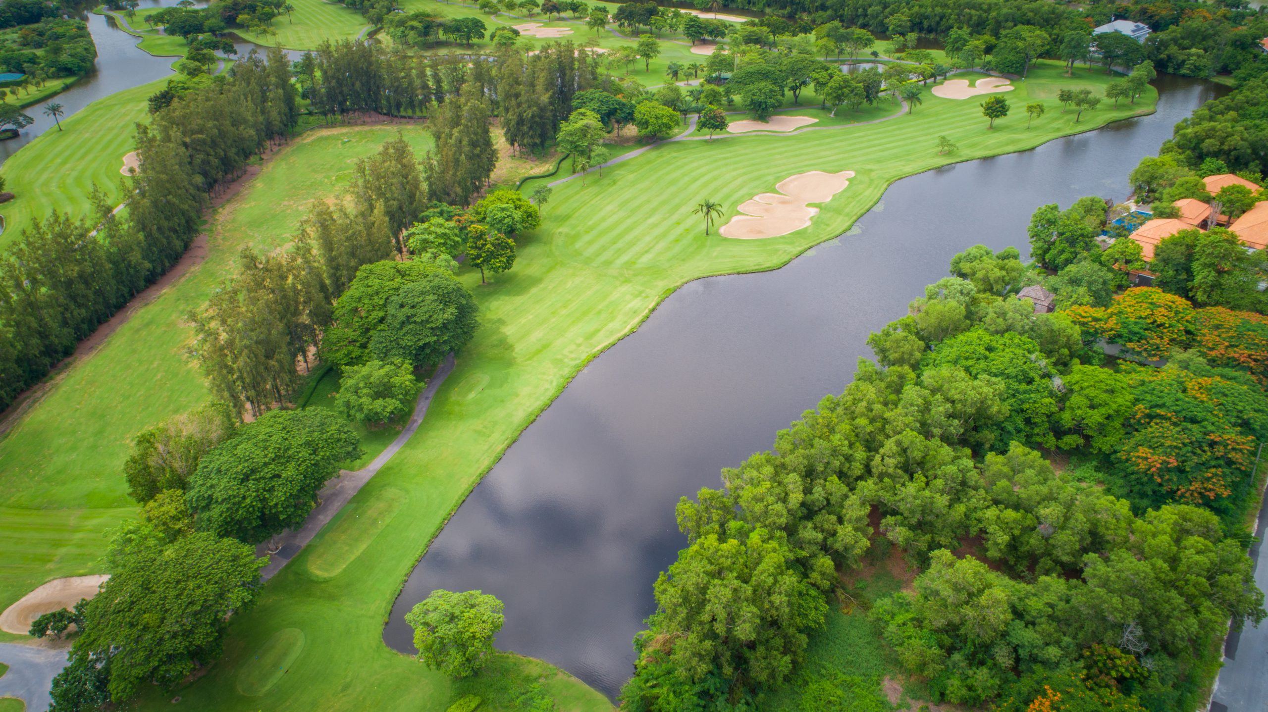 DJI_0091-scaled.jpg