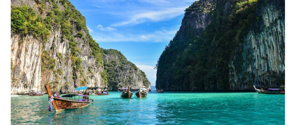 ดาวน์โหลด (3).png